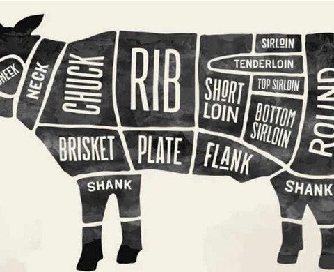 beef cattle body parts
