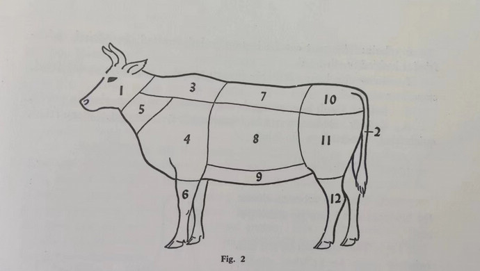 beef cattle body parts