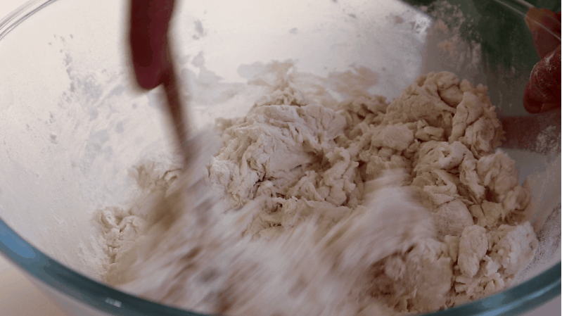 shengjianbao step 2